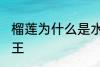 榴莲为什么是水果王 榴莲为何是水果王