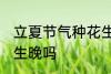 立夏节气种花生晚不晚 立夏节气种花生晚吗