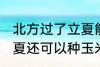 北方过了立夏能种玉米吗 北方过了立夏还可以种玉米吗