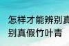 怎样才能辨别真假竹叶青 如何才能辨别真假竹叶青