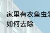 家里有衣鱼虫怎么去除 家里有衣鱼虫如何去除