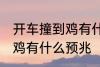 开车撞到鸡有什么兆头 男人开车撞到鸡有什么预兆
