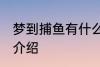 梦到捕鱼有什么兆头 梦见捕鱼的寓意介绍