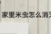家里米虫怎么消灭 家里米虫如何消灭