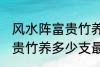 风水阵富贵竹养几支最旺运 风水阵富贵竹养多少支最旺运