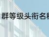 群等级头衔名称四个字 群名称有哪些
