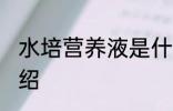 水培营养液是什么 水培营养液简单介绍