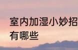 室内加湿小妙招有哪些 室内加湿方法有哪些