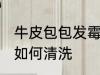 牛皮包包发霉怎么清洗 牛皮包包发霉如何清洗