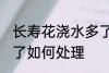 长寿花浇水多了怎么办 长寿花浇水多了如何处理