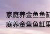家庭养金鱼鱼缸里放什么水草好呢 家庭养金鱼鱼缸里放哪种水草好呢