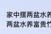 家中摆两盆水养富贵竹好不好 家中摆两盆水养富贵竹可以吗