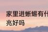 家里进蜥蜴有什么预兆 家里进蜥蜴预兆好吗
