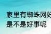 家里有蜘蛛网好事坏事 家里有蜘蛛网是不是好事呢