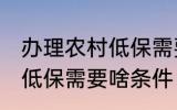办理农村低保需要什么条件 办理农村低保需要啥条件