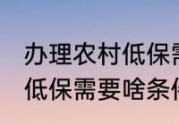 办理农村低保需要什么条件 办理农村低保需要啥条件