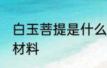 白玉菩提是什么材质 白玉菩提是什么材料