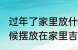 过年了家里放什么一顺百顺 过年的时候摆放在家里吉利的有哪些