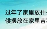 过年了家里放什么一顺百顺 过年的时候摆放在家里吉利的有哪些