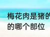 梅花肉是猪的哪个部位示 梅花肉在猪的哪个部位