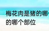 梅花肉是猪的哪个部位示 梅花肉在猪的哪个部位
