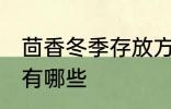 茴香冬季存放方法 茴香冬季存放方法有哪些