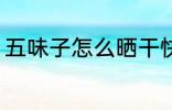 五味子怎么晒干快 五味子如何晒干快
