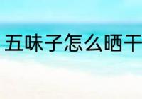 五味子怎么晒干快 五味子如何晒干快