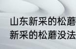 山东新采的松蘑没法晒干怎么办 山东新采的松蘑没法晒干该怎么处理