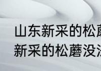 山东新采的松蘑没法晒干怎么办 山东新采的松蘑没法晒干该怎么处理
