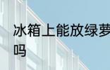 冰箱上能放绿萝吗 冰箱上可以放绿萝吗