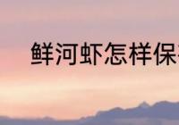 鲜河虾怎样保存 鲜河虾如何保存