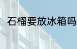 石榴要放冰箱吗 石榴能不能放冰箱