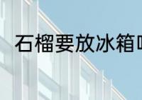 石榴要放冰箱吗 石榴能不能放冰箱