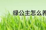 绿公主怎么养 怎么养绿公主