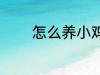 怎么养小鸡仔 如何养小鸡仔