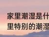 家里潮湿是什么原因 什么原因导致家里特别的潮湿