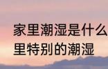 家里潮湿是什么原因 什么原因导致家里特别的潮湿