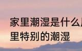 家里潮湿是什么原因 什么原因导致家里特别的潮湿