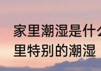 家里潮湿是什么原因 什么原因导致家里特别的潮湿