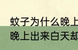 蚊子为什么晚上出来白天却没有 蚊子晚上出来白天却没有的原因
