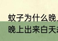蚊子为什么晚上出来白天却没有 蚊子晚上出来白天却没有的原因