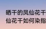 晒干的凤仙花干怎么染指甲 晒干的凤仙花干如何染指甲