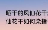 晒干的凤仙花干怎么染指甲 晒干的凤仙花干如何染指甲
