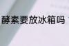 酵素要放冰箱吗 能不能把酵素放冰箱