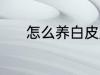 怎么养白皮肤 养白皮肤的方法