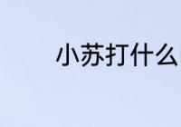 小苏打什么味 小苏打的味道