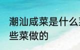 潮汕咸菜是什么菜做的 潮汕咸菜是哪些菜做的