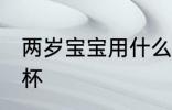 两岁宝宝用什么水杯 两岁宝宝用啥水杯