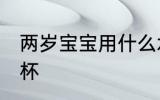 两岁宝宝用什么水杯 两岁宝宝用啥水杯